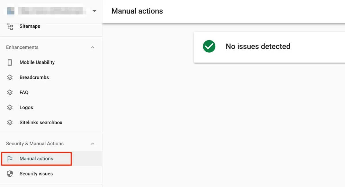 SECURITY & MANUAL ACTIONS / MANUAL ACTIONS